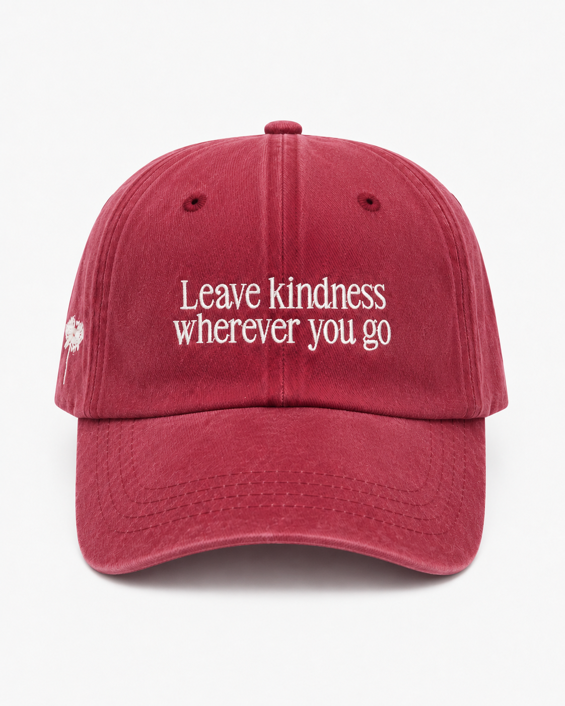 Leave Kindness Wherever You Go